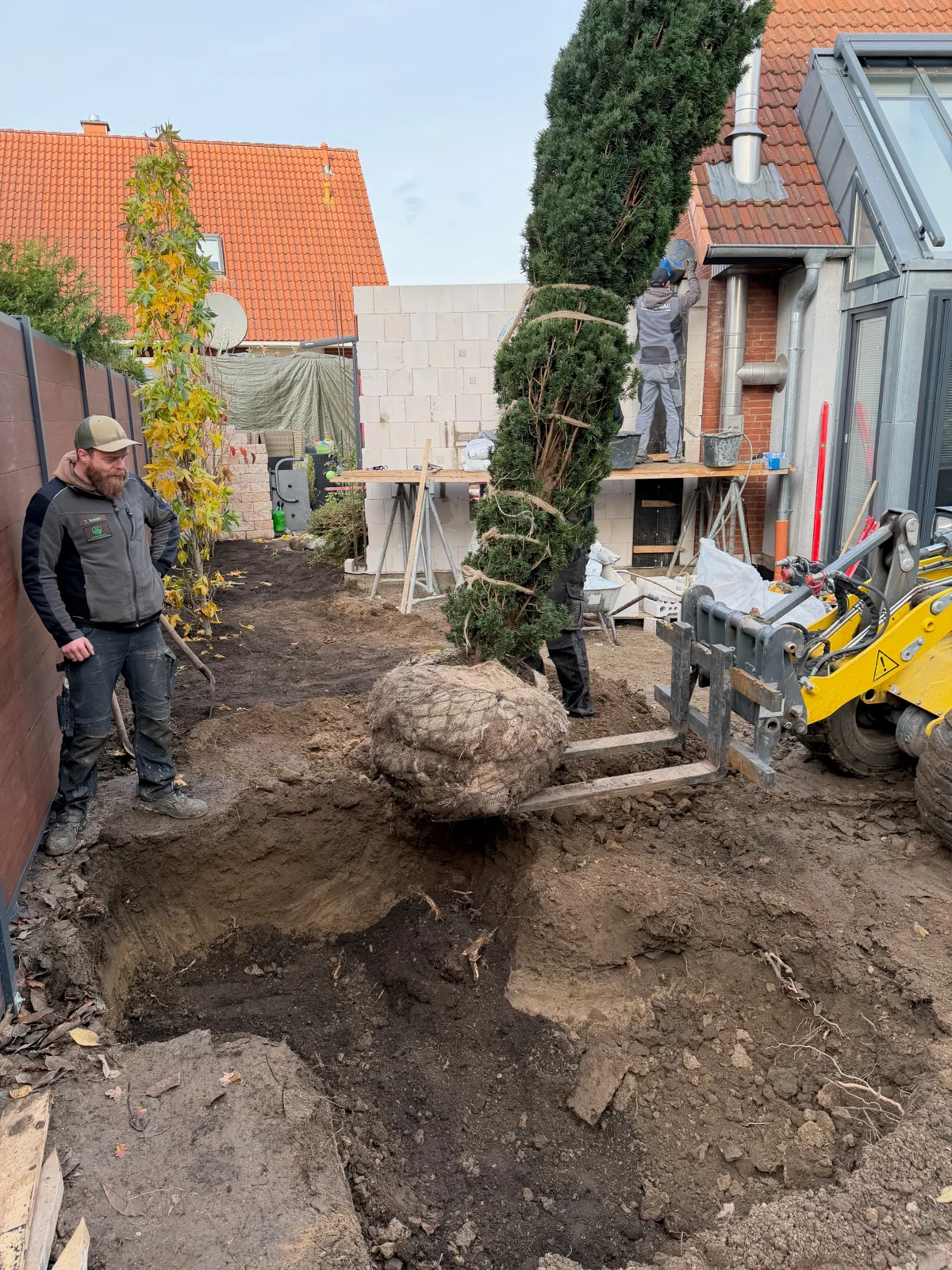 Gartengestaltung & Pflanzarbeiten - Bild 3 von 5