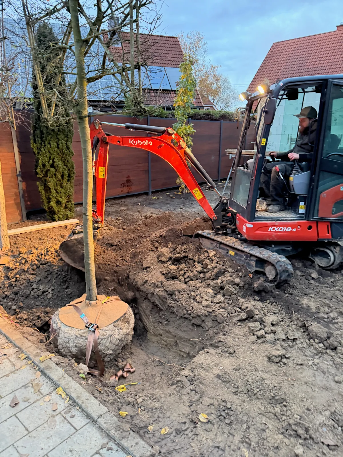 Gartengestaltung & Pflanzarbeiten - Bild 4 von 5