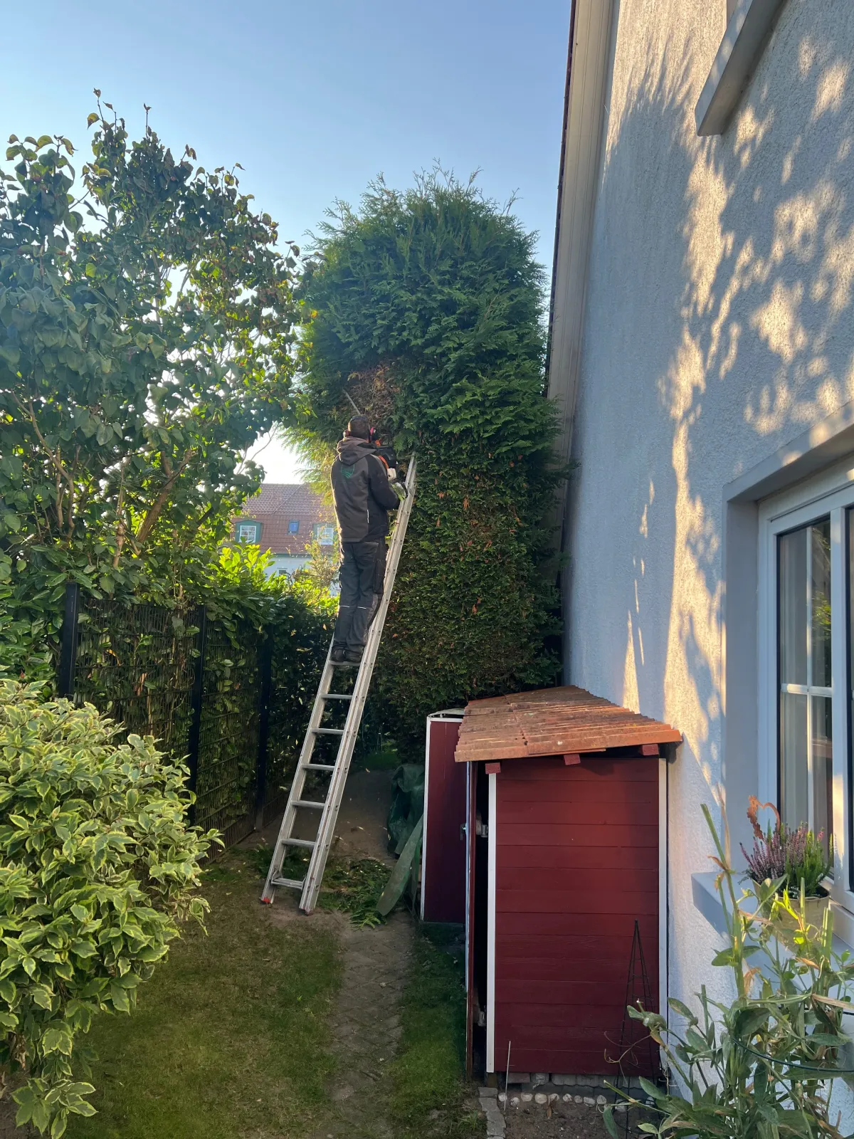 Gartenpflege - Bild 2 von 3